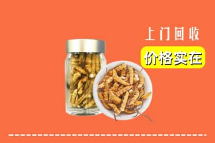 钦州市钦北回收散虫草